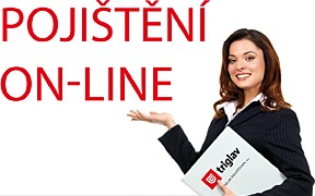 POJIŠTĚNÍ ON-LINE